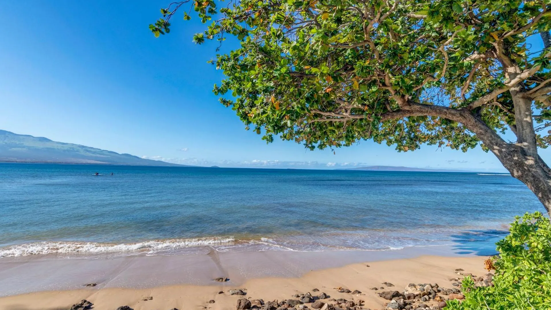 Semesterbostad Kanai A Nalu 215 Wailuku